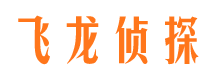 大足市私家侦探